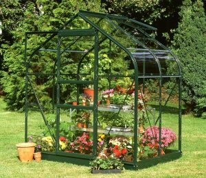 Halls Supreme 6x4 Greenhouse in Green