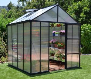 Palram Glory 8x8 Greenhouse