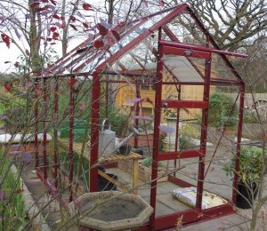 Elite High Eave Greenhouse in Berry