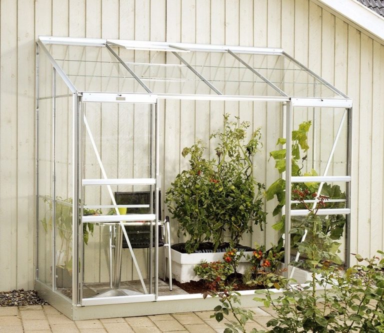 Vitavia Ida Greenhouse Review Greenhouse Reviews