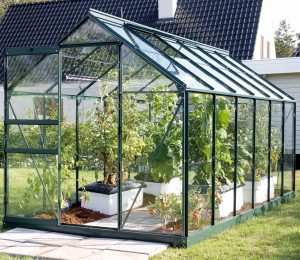 VitaVia Venus Greenhouse 12x6 Green Toughened