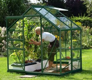 VitaVia Venus Greenhouse 4x6 Green Toughened