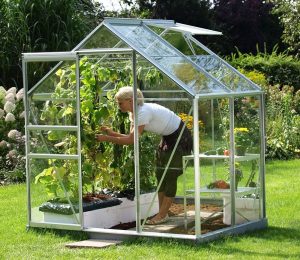 VitaVia Venus Greenhouse 4x6 Silver Toughened