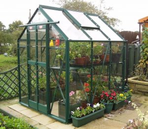 Elite Streamline Greenhouse Powder Coated 2