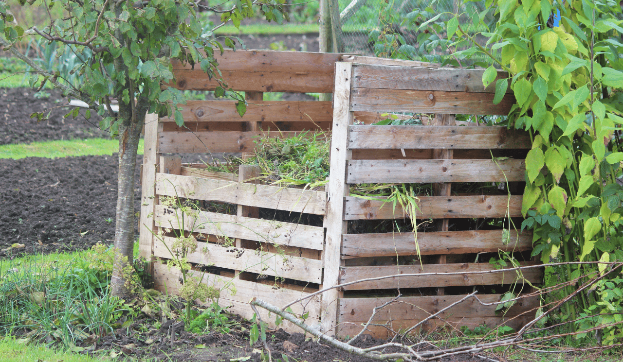 Building A Compost Bin For Free From Old Pallets Greenhouse Reviews Blog