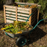 Creating & Maintaining Your Own Compost Heap