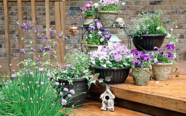 Creating Your Own Container Garden