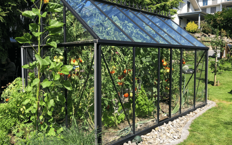 How Do Greenhouses Actually Work?