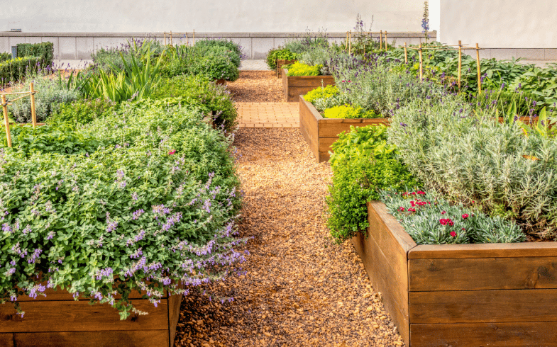 How To Start Planting With Raised Beds