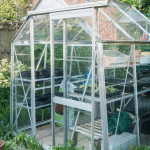 Maximising Space & Yield In A Small Greenhouse