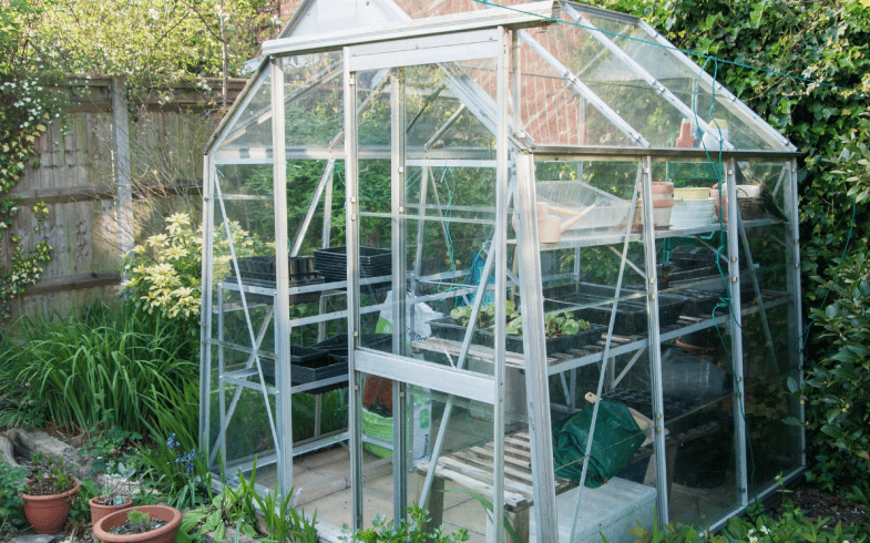12 Ways To Maximise Space & Yield In A Small Greenhouse