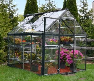 The Palram Harmony 6x8 greenhouse with powder coated grey frame.