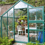 Top Tips For A Thriving Greenhouse