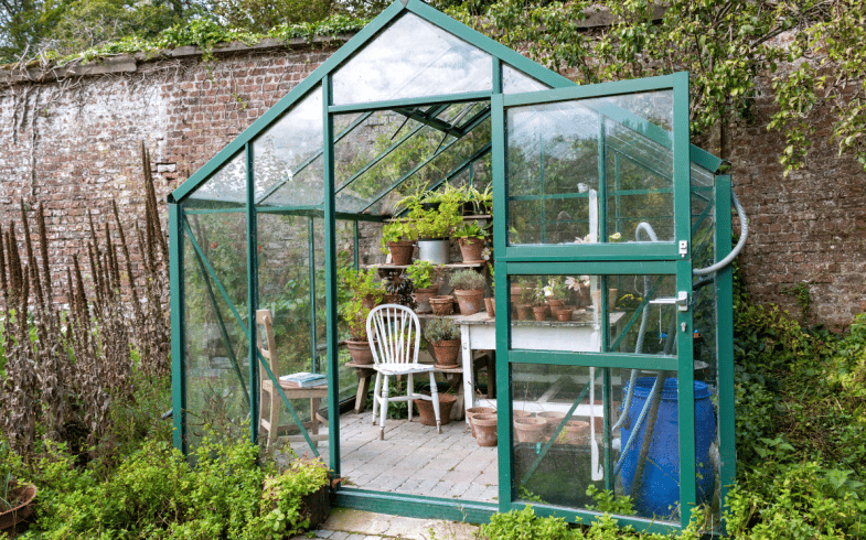 Top Tips For A Thriving Greenhouse