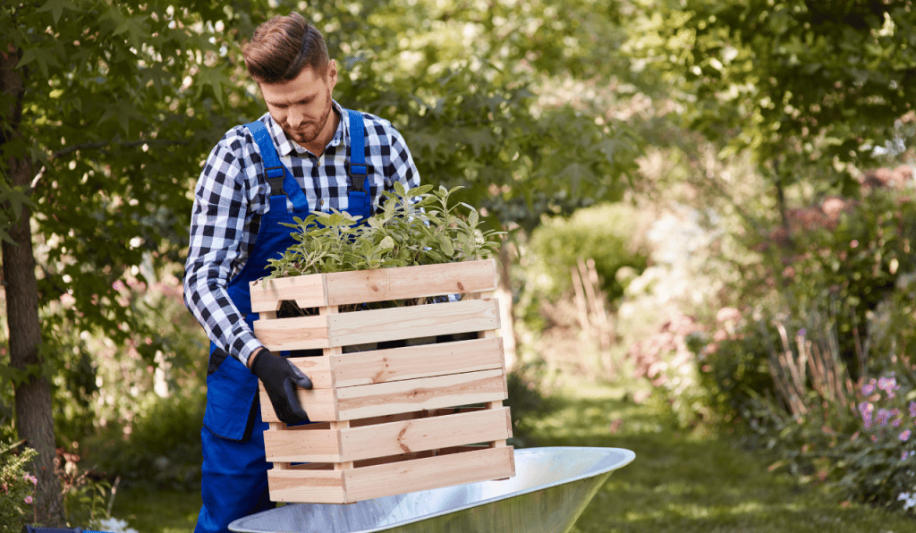 Using Gardening As A Subtle Exercise Method
