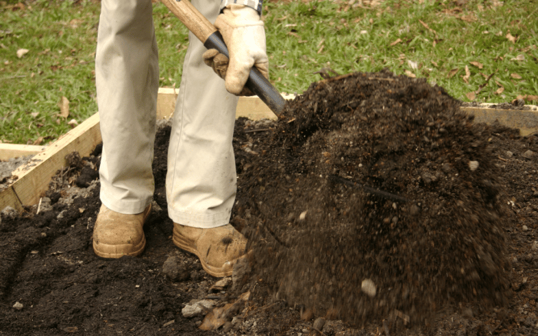 Using Gardening As A Subtle Exercise Method