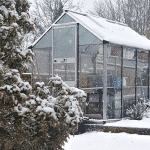 Do Greenhouses Stay Warmer Inside Even During Winter