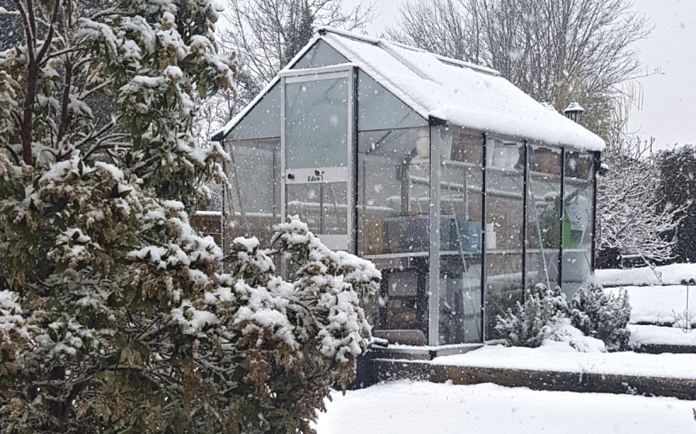Do Greenhouses Stay Warmer Inside Even During Winter?