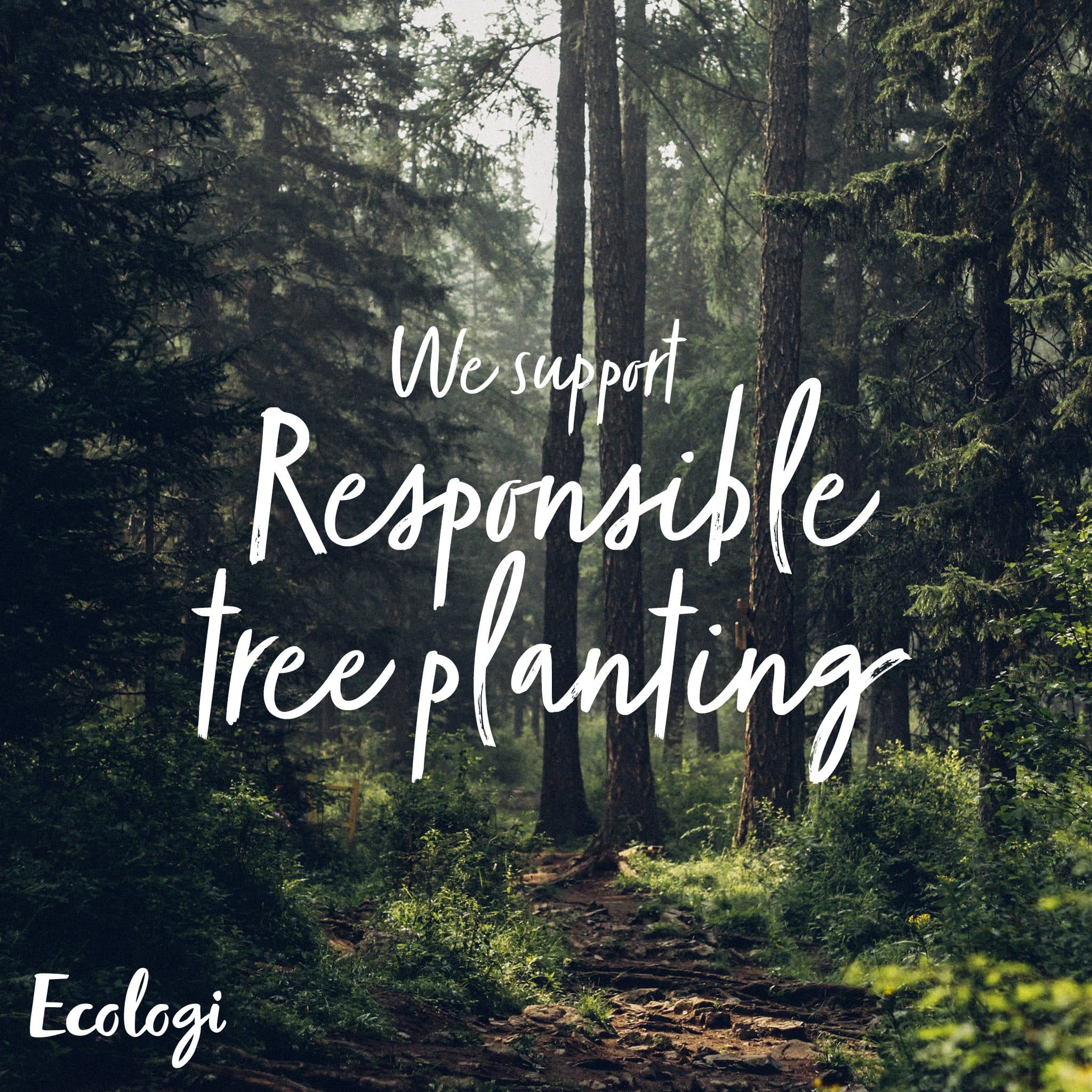 Responsible tree planting with Ecologi.