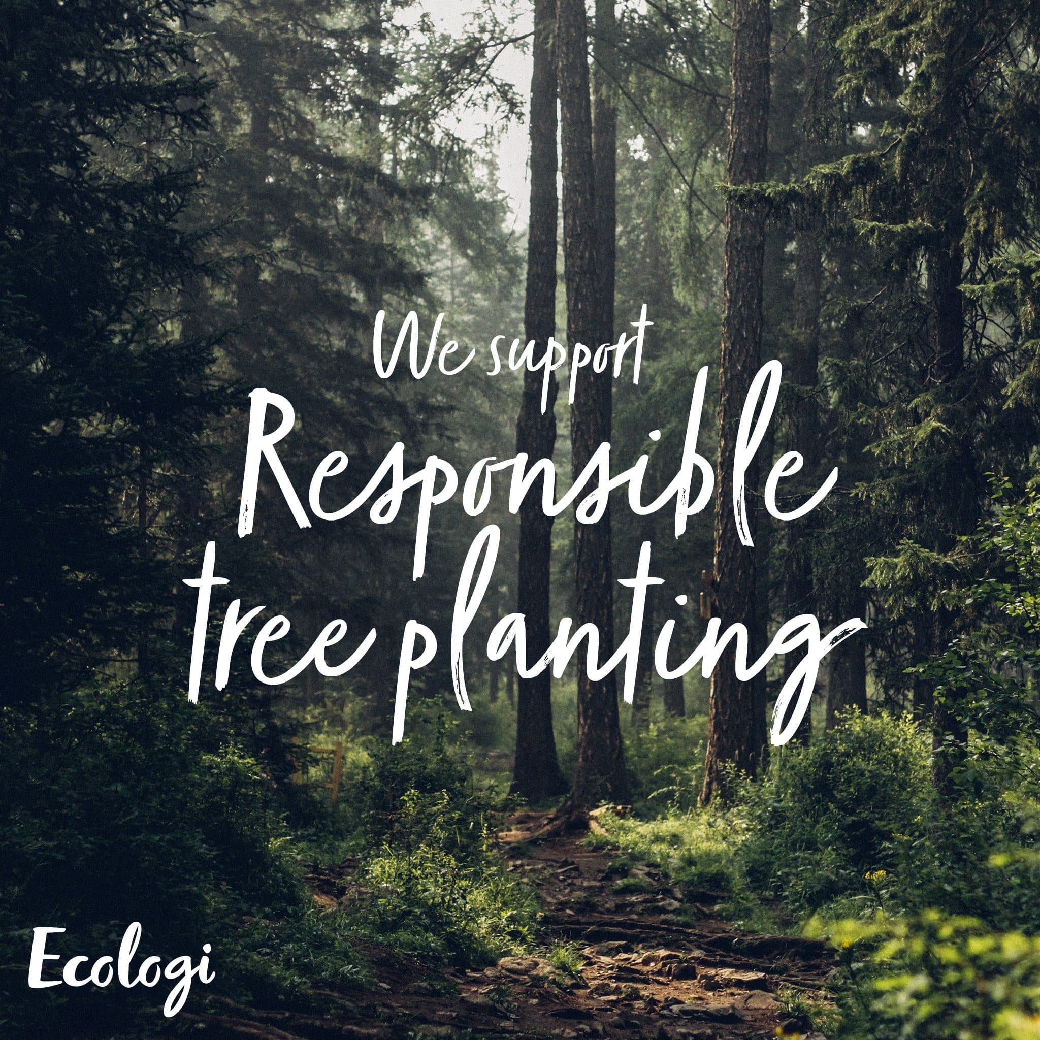 Responsible-tree-planting-square Responsible tree planting with Ecologi.