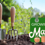 What To Grow From Seed In March