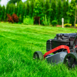 Top Tips For A Thicker & Greener Grass Lawn