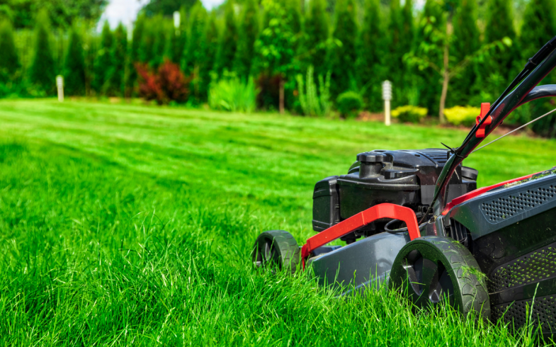 Top Tips For A Thicker & Greener Grass Lawn