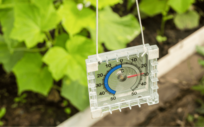 Top Tips For Keeping Your Greenhouse Hydrated During A Heatwave