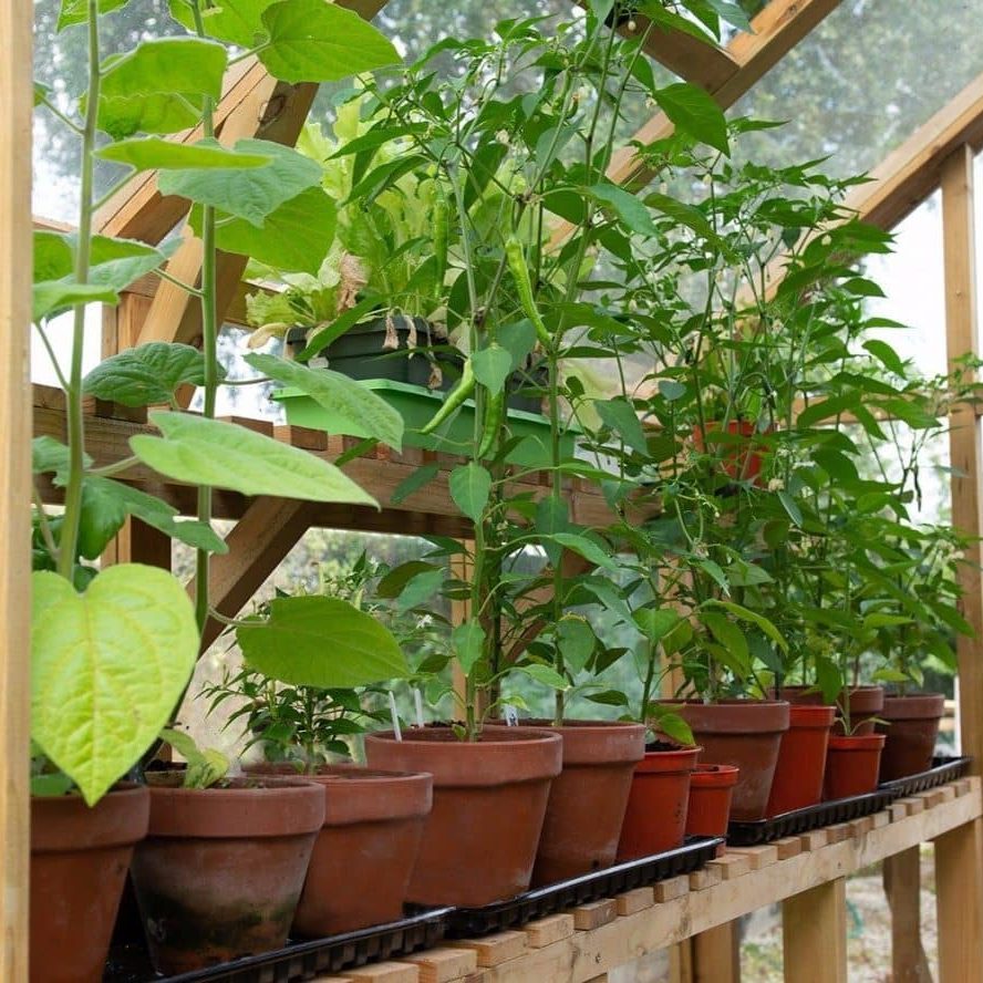 Forest vale shelf feature. Internal shelves.
