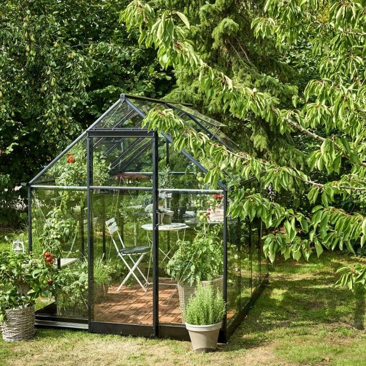 Halls Qube Greenhouse with Surrounding Bushes