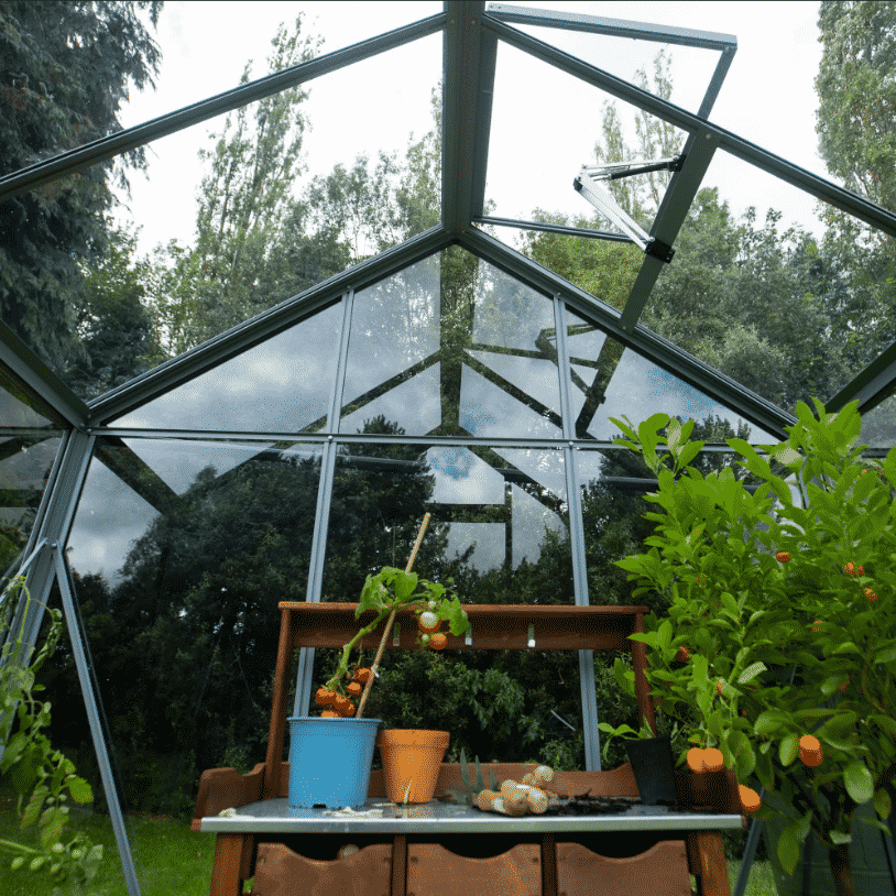 Inside view and roof vent.