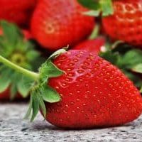 Homegrown Strawberries